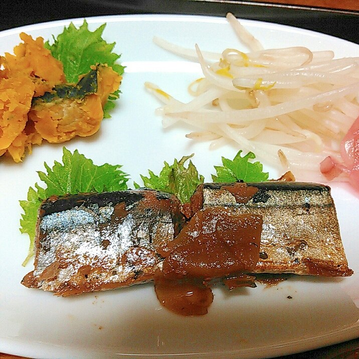 鯖の醤油煮とカボチャもやしサラダプレート